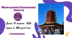 🌷ФЕСТИВАЛЬ ТЮЛЬПАНОВ В ЖЕМЧУЖИНЕ КАЛМЫКИИ 🌷