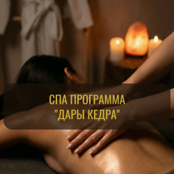 🌲 Дары кедра