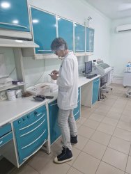 Наталья Альфредовна Люцигер