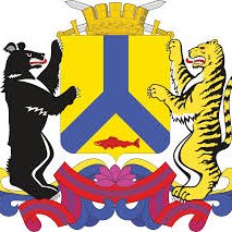 логотип компании Единая диспетчерская дежурная служба Хабаровского района