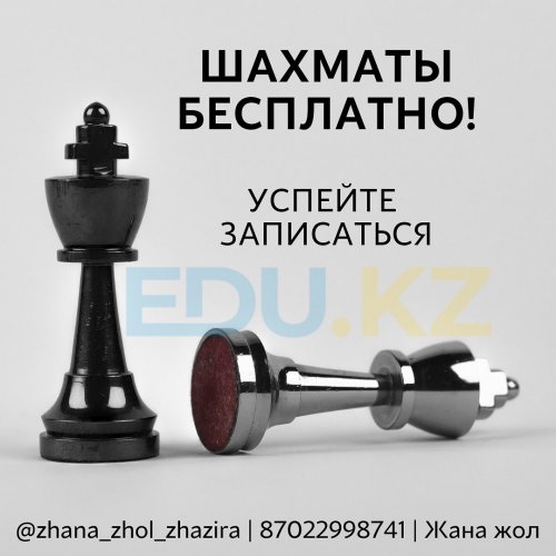 Шахматы бесплатно!