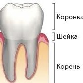 Лечение зубов в стоматологии V.I.A.Dent г. Сочи