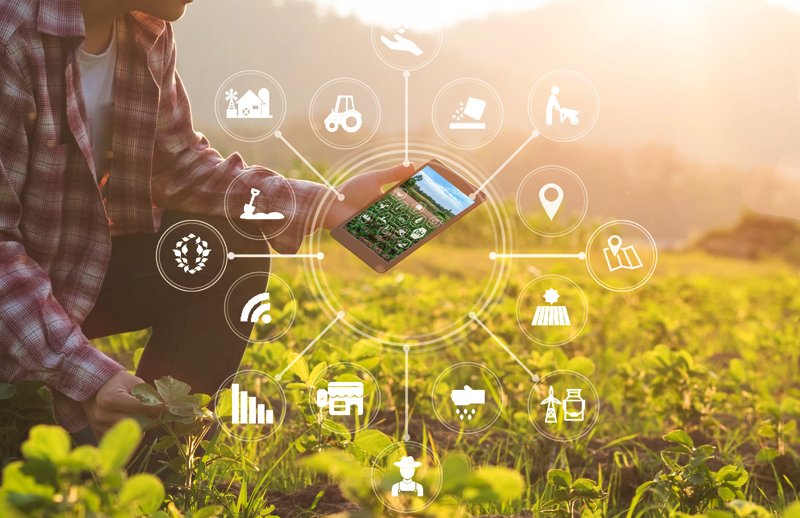 Более 500 аграриев и поставщиков Адыгеи и Кубани присоединились к цифровой экосистеме Своё от Россельхозбанка