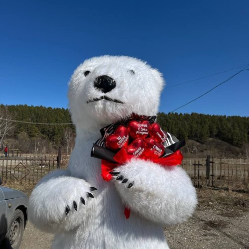 ооо аниматоры ас