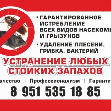 Дезинфекция помещений в Азове и Ростовской области