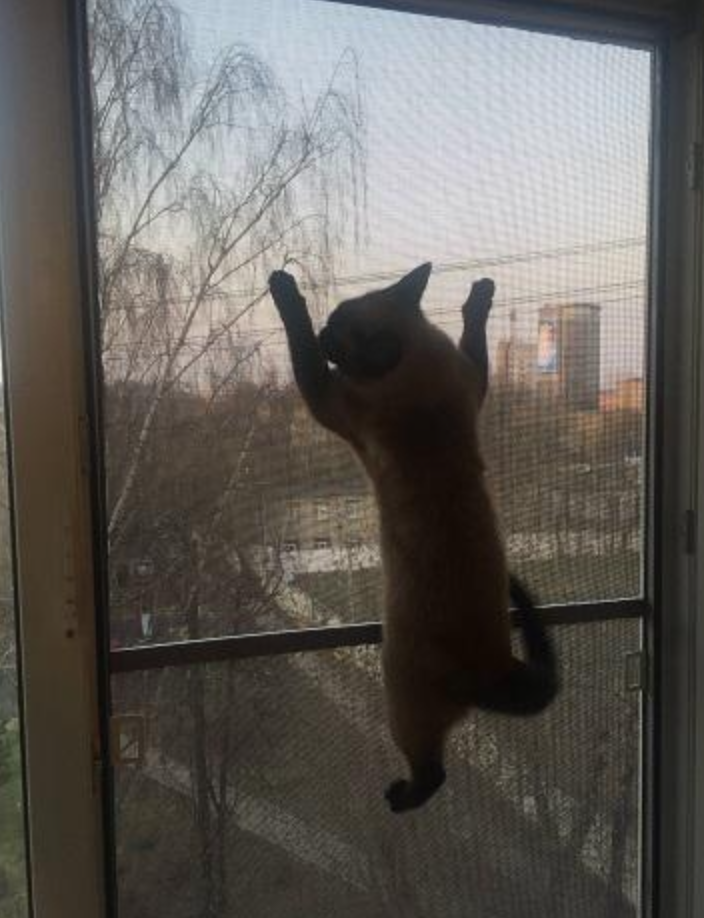 ПРОФЕССИОНАЛЬНЫЙ Ремонт Окон