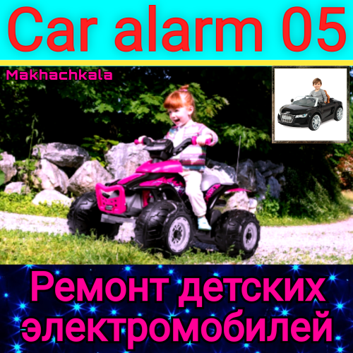 Car alarm 05