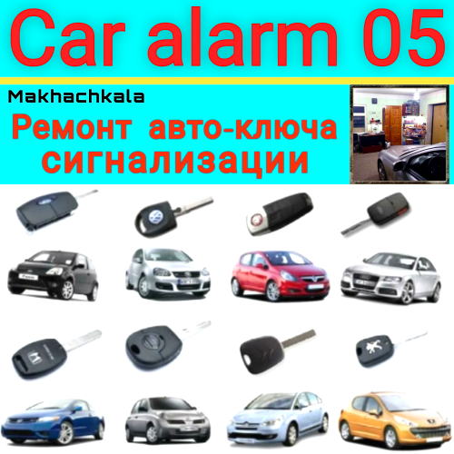 Car alarm 05