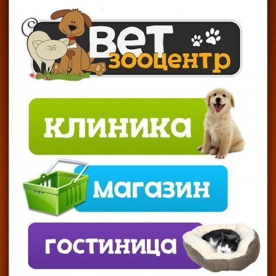 Летний отдых без хлопот с ВетЗооЦентром