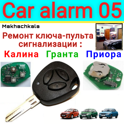 Car alarm 05