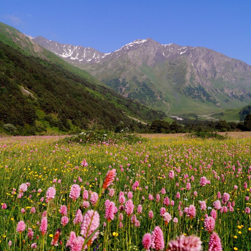 ЭКСКУРСИЯ В ВЕРХНЮЮ БАЛКАРИЮ