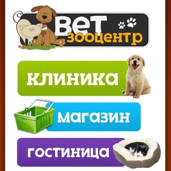 Новогодний отдых без хлопот с ВетЗооЦентром