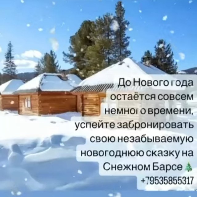 Новый год с Снежном барсе 👍😍🎄