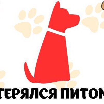 Питомец потерялся