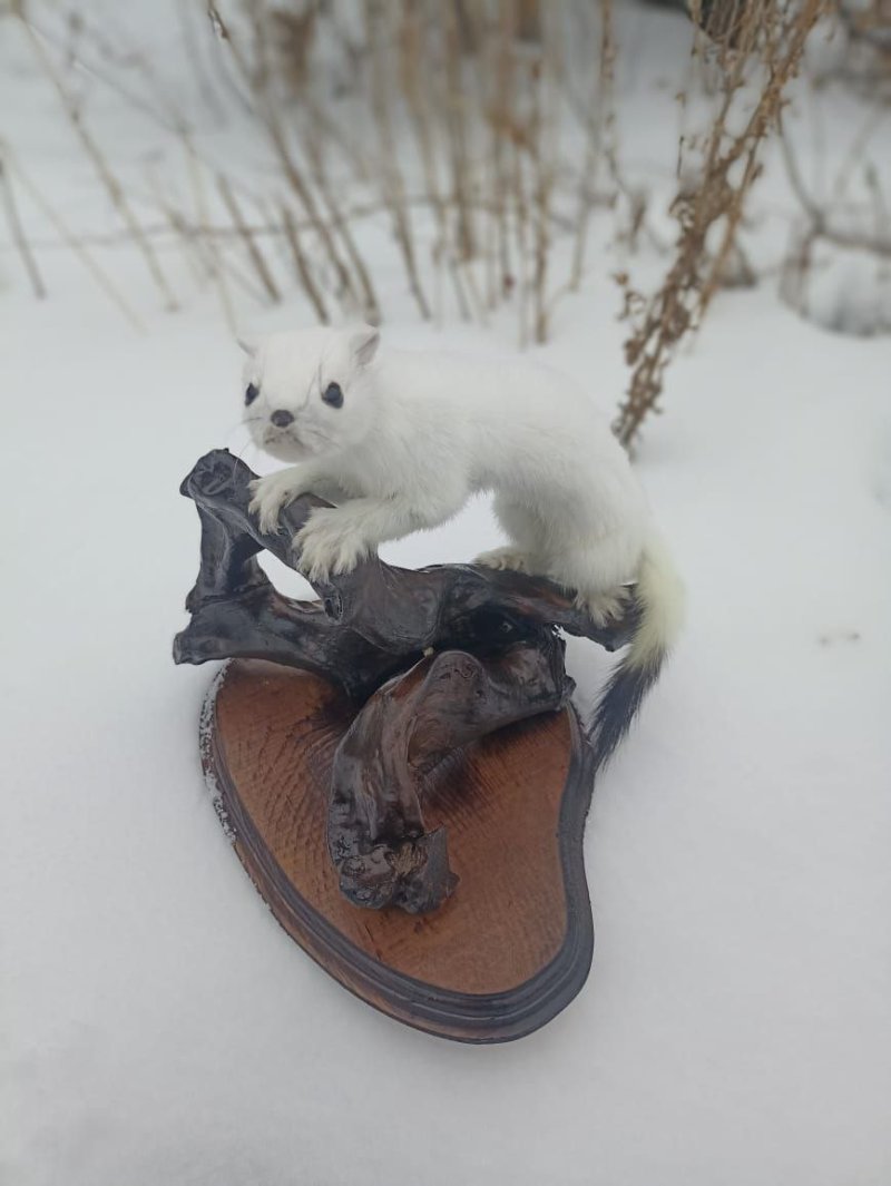 Оригинальность в каждом подарке от магазина Алтын Чир! 🎁🌲