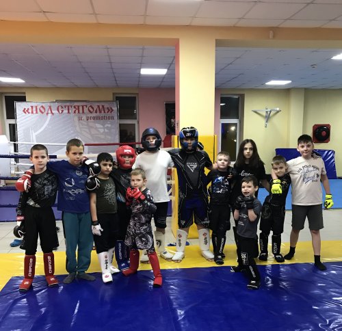 Смешанные единоборства