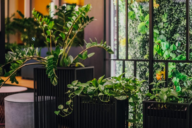 Студия ландшафтного дизайна METIME