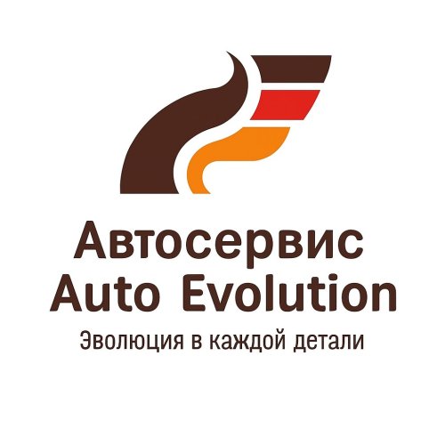 Auto Evolution