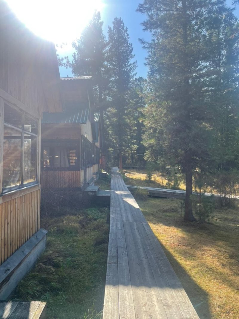 Осень в СНЕЖНОМ БАРСЕ 🍂🍂🍂