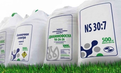 Айгуль Амерова