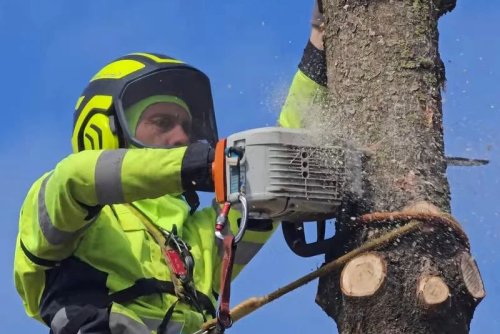 Геннадий Александрович