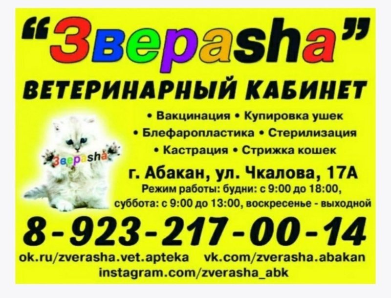 Есть вопросы по здоровью питомцев? Обращайтесь в ЗВЕРАШУ!