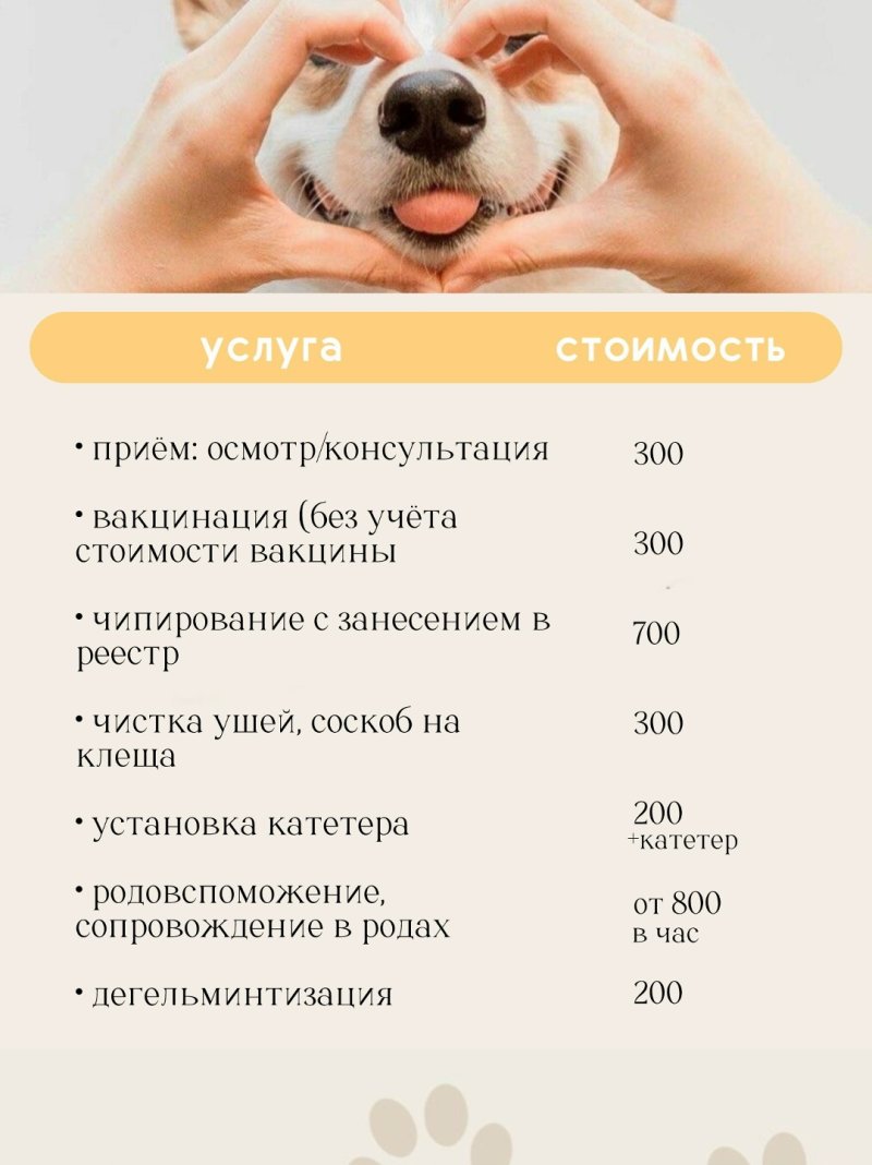 Ветеринарный кабинет «ЗВЕРАSHА» приглашает