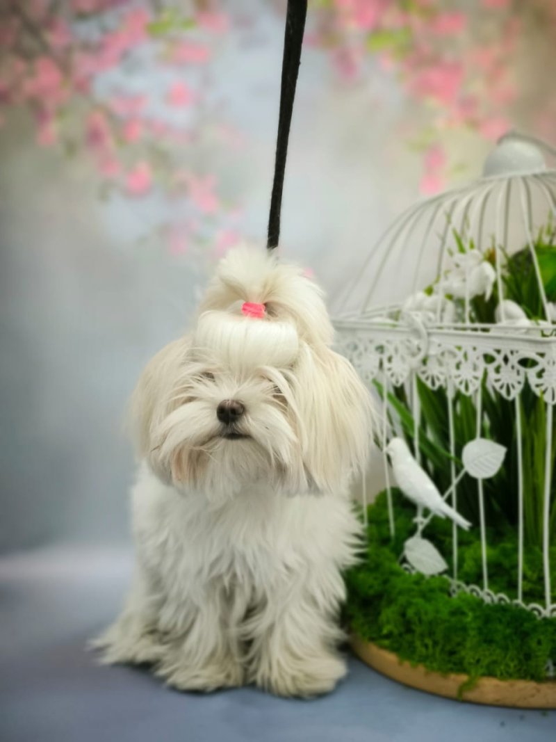 Важная информация