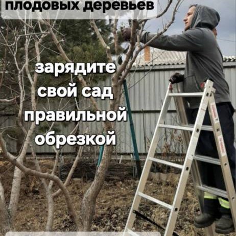 Сад в Хакасии. Осенняя обрезка плодового сада