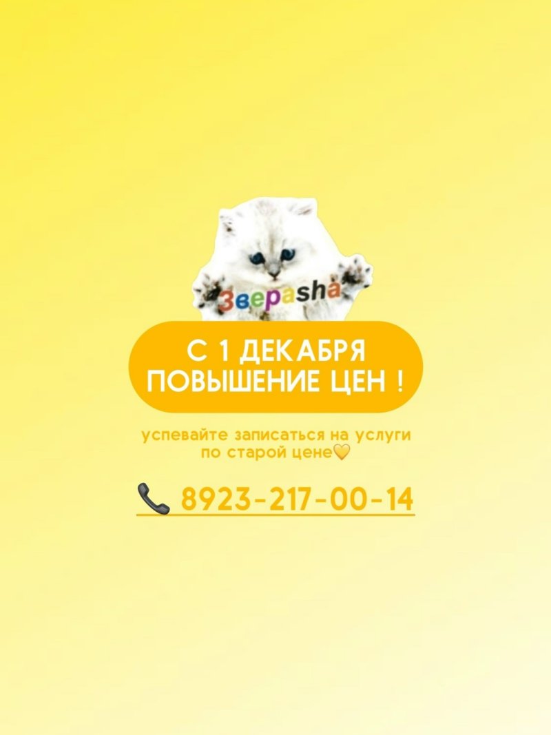 ПОВЫШЕНИЕ ЦЕН в ЗВЕРАШЕ