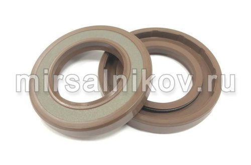 МИР САЛЬНИКОВ