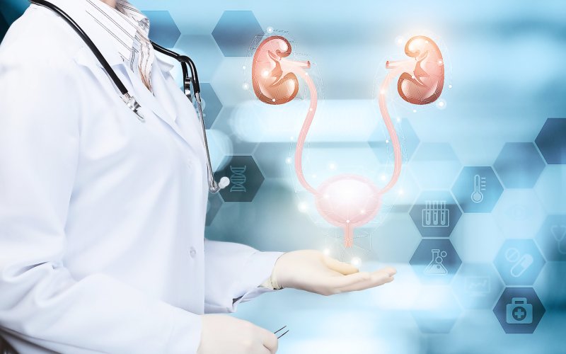 МО Инвитро приглашает на комплексное обследование почек и мочеполовой системы!