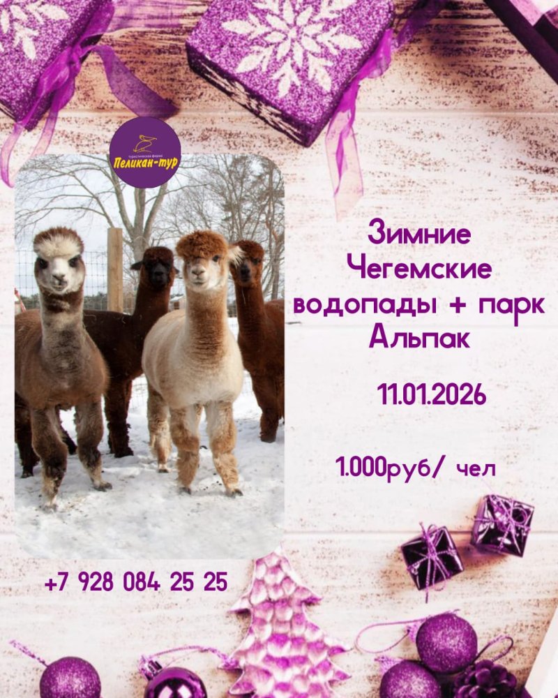 ❄️Зимние Чегемские водопады + парк Альпак🌟