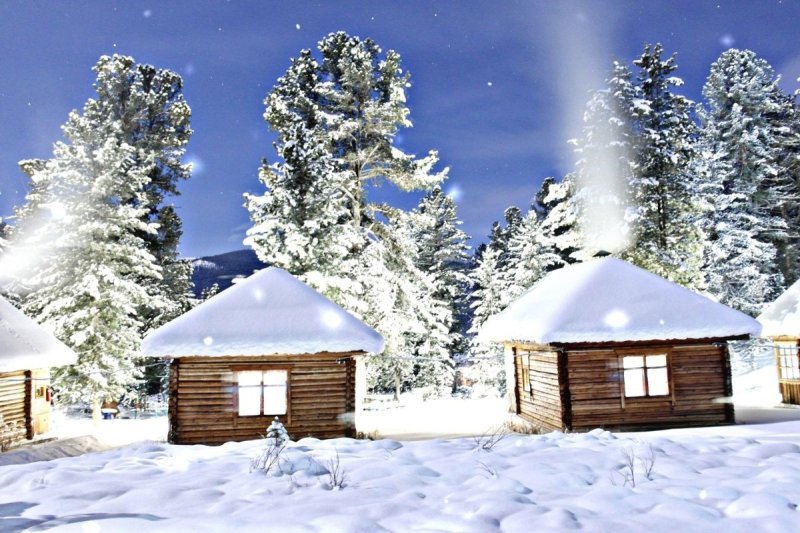 Новогодняя сказка ждёт Вас на «Снежном Барсе»! ❄