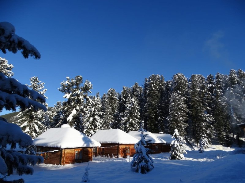 🎄🎄🎄Волшебство уже стучится в дверь! До Нового Года -всего 2 дня! 🎄🎄🎄 Встречай на Снежном Барсе