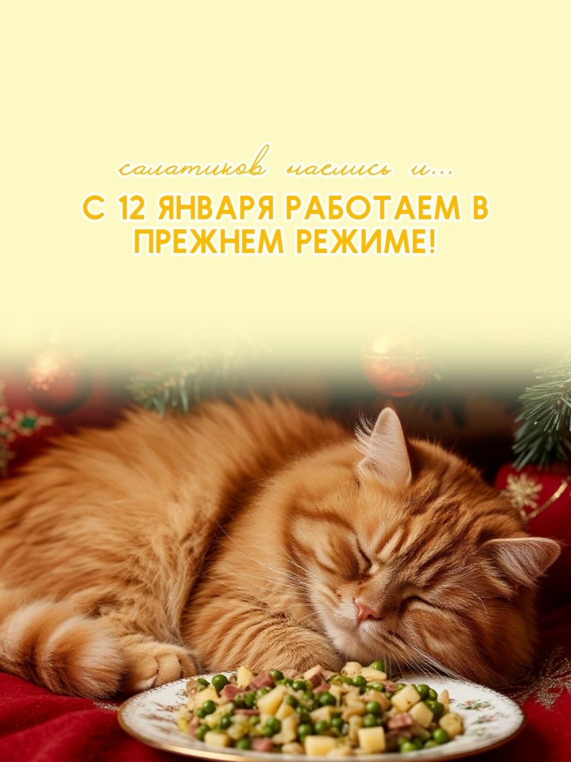 ЗВЕРАША приглашает