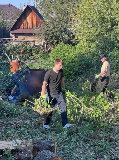 Спилим и Очистим