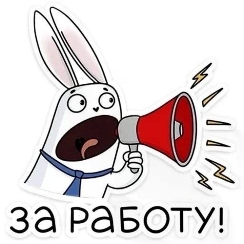 Латышева Анастасия Алексеевна