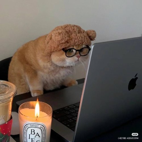 Латышева Анастасия Алексеевна