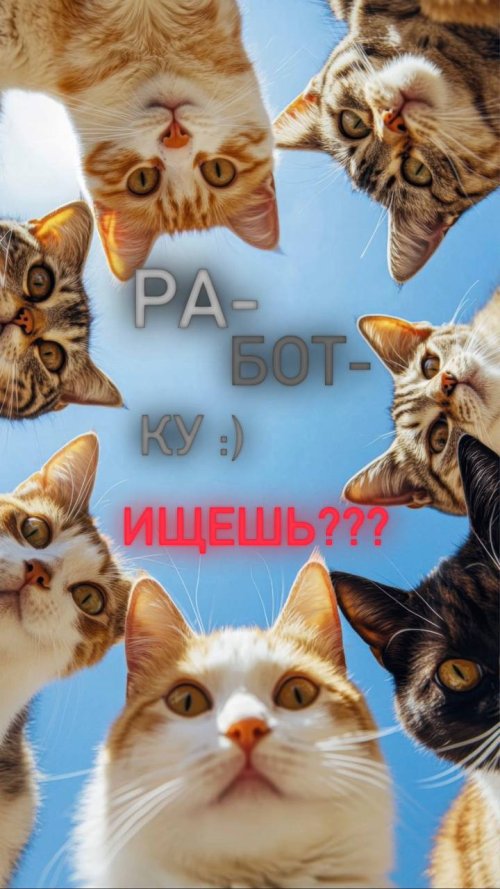 Латышева Анастасия Алексеевна