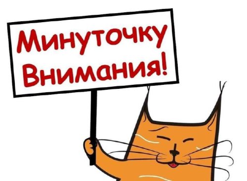 Латышева Анастасия Алексеевна