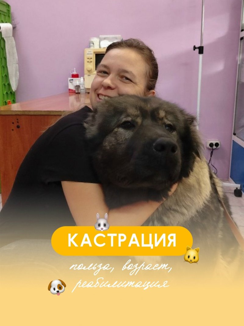 ЗВЕРАSHА: КАСТРАЦИЯ - это забота о здоровье питомца на долгие годы❗️