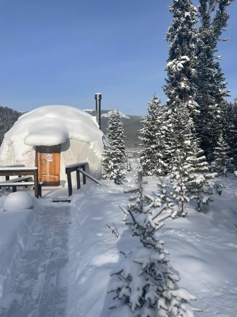 Доброе зимнее утро от Снежного Барса🌄