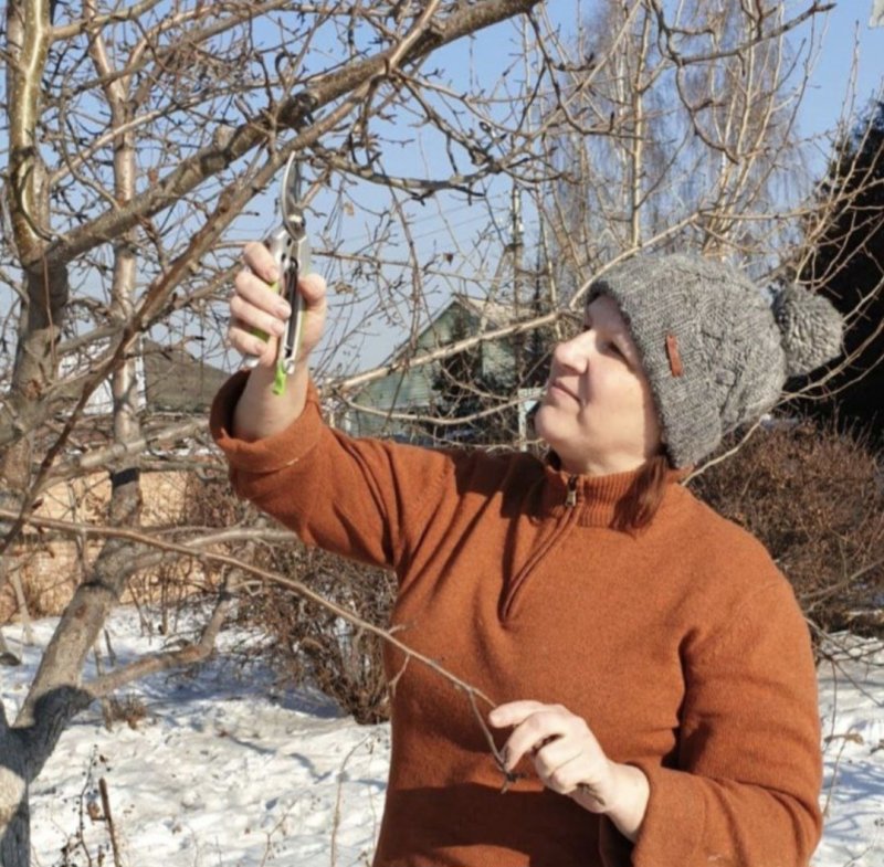 Садоводы, время пришло!