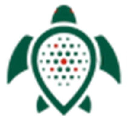 ООО «ТТ Смарт Групп»