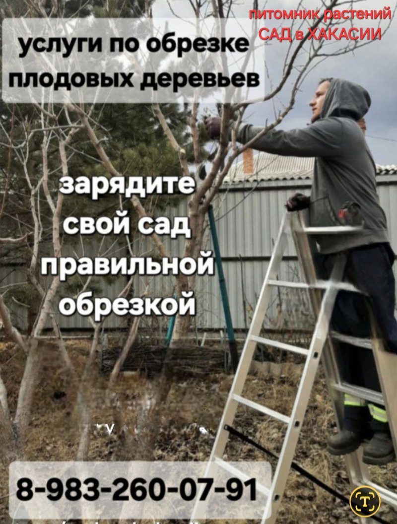 Время провести сад в порядок