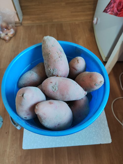 Продам картофель домашний.