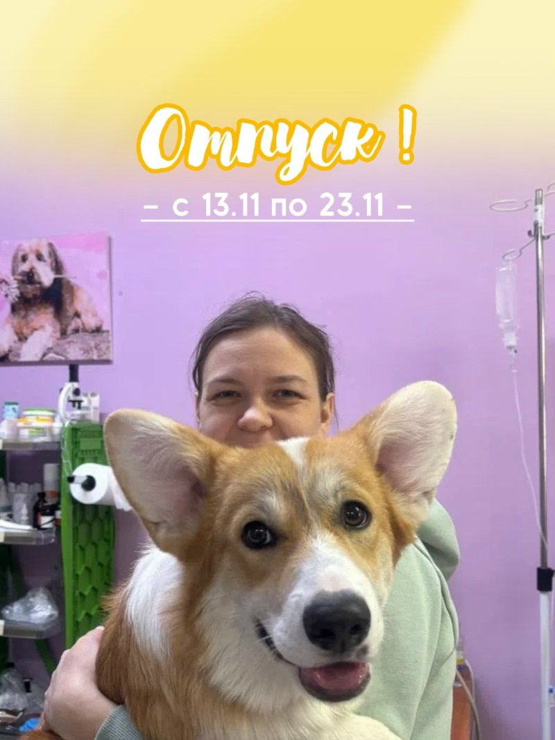 ЗВЕРАША информирует! 🐾