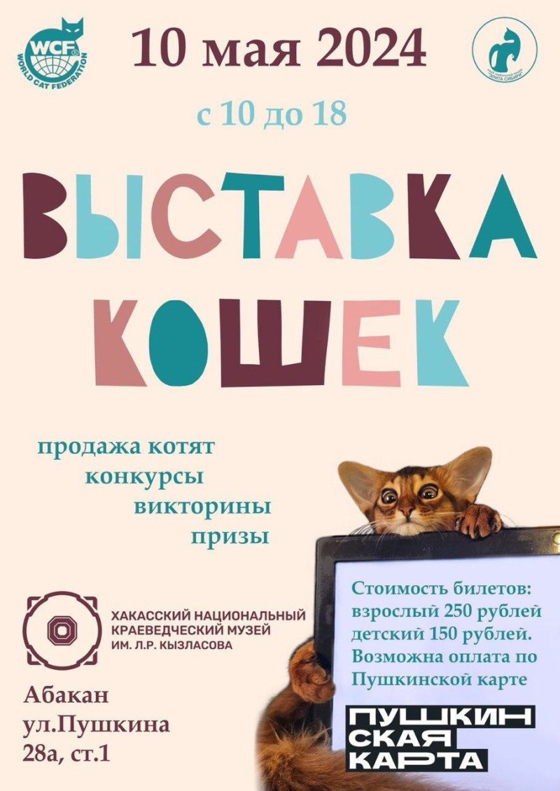 Выставка клуба любителей кошек "Элита Сибири"