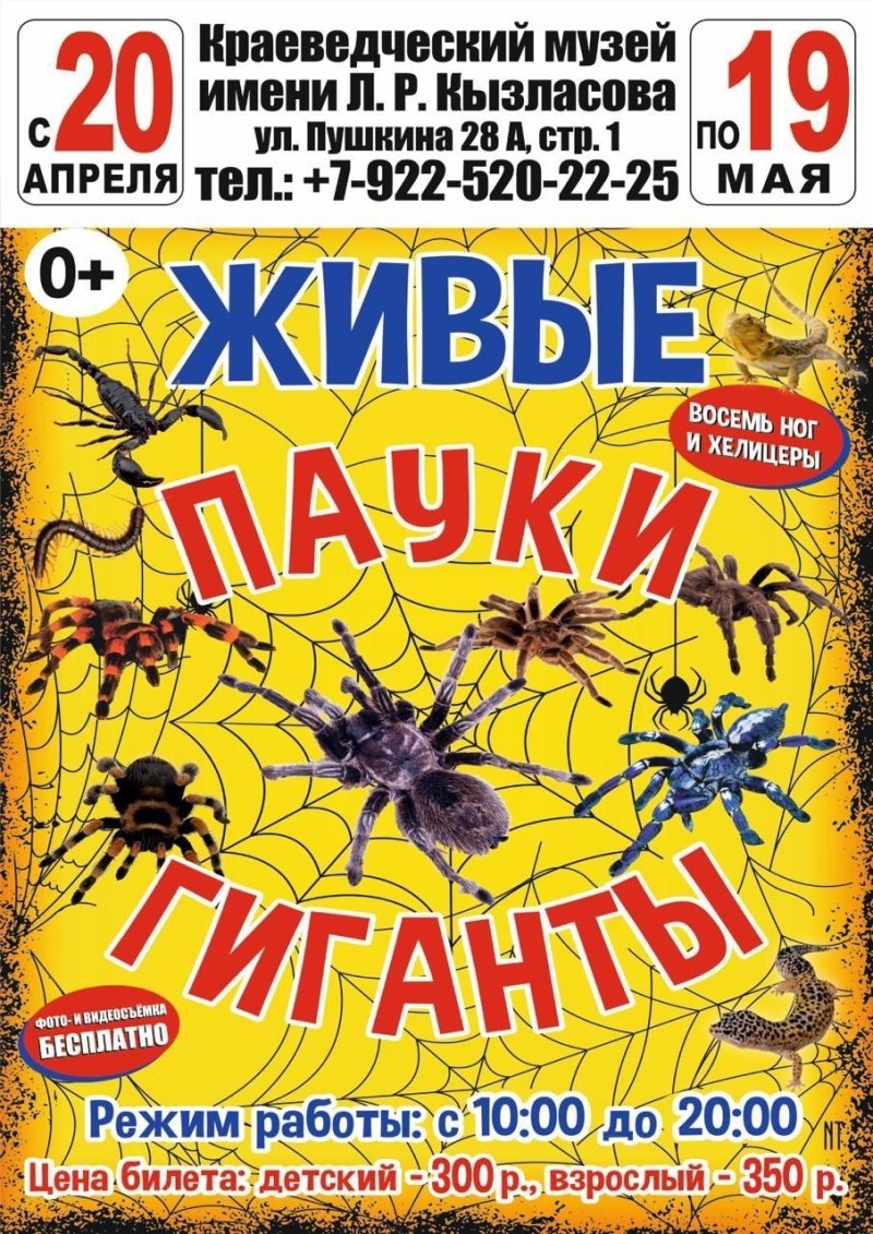 Выставка "Живые пауки-гиганты"